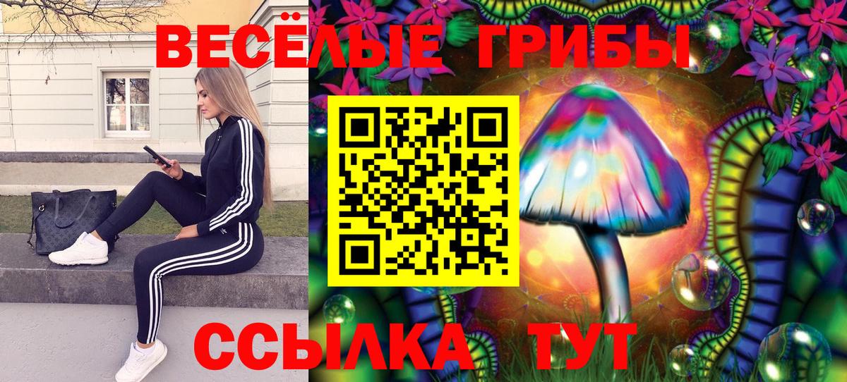 Псилоцибиновые грибы прущие грибы  Вход с VPN  Артём 
